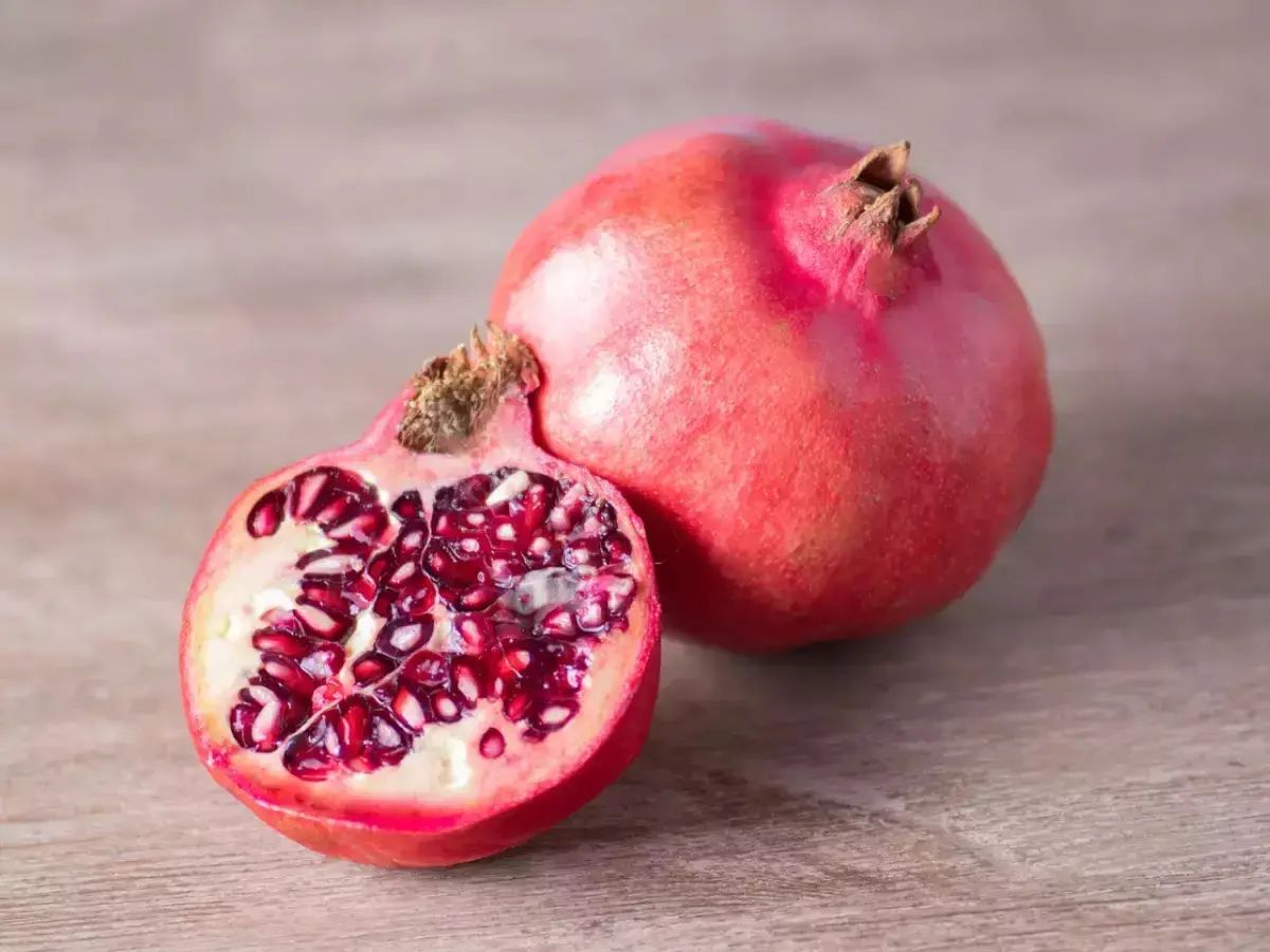 WhatsApp-Image-2025-03-22-at-11.10.29-AM